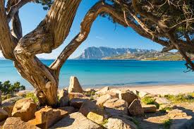 La spiaggia di torre grande verso meridione. Spiagge Sardegna Rosa E Bianche Le Piu Belle Foto Dove Viaggi