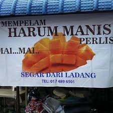 Idea tanam pokok harum manis diluar perlis tidak dipersetujui. Harum Manis Perlis Home Facebook