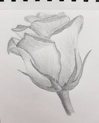 Black And White Drawings Of Nature Easy Ten Things About Flower Art In Pencil You Have To Experience It Yourself Flower Art In Pencil H In 2020 Nature Drawing Art Drawings Simple Pencil Drawings Of Flowers