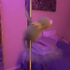 [letra de qué más pues ft. Bran S Tweet Mood Escuchando Que Mas Pues De J Balvin Y Maria Becerra Trendsmap