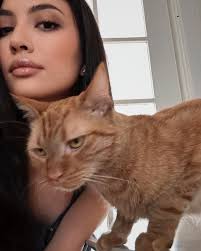 Fabiola Avila (@fabiolaavila) • Instagram photos and videos