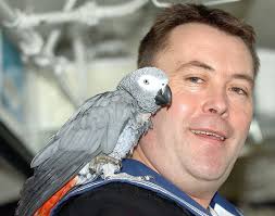 Steve Tunstall Sunny Parrot Editorial Stock Photo