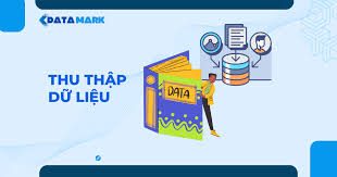 Thu Thập Dữ Liệu: Nền Tảng Vững Chắc Cho Quyết Định Kinh Doanh