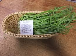 新顔野菜はイタリア生まれ エルバステラ 星の草 のお味は 自然食通信