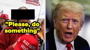 Aussie grandmother driving Christmas presents 1,500km across the country