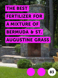 Learn The Best Fertilizer For A Mixture Of Bermuda St Augustine Grass How To Guides Tips And Tricks Bermuda Grass Fertilizer Grass