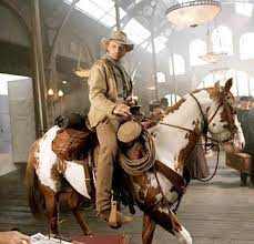 Hidalgo Let The Right One In Requiem For A Dream Horse Movies Horse Love Horses