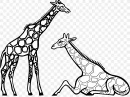 Check spelling or type a new query. Coloring Book Reticulated Giraffe Coloring Pictures Adult Child Png 999x749px Coloring Book Adult Animal Figure Artwork