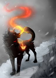 Anime manga fan art drawing, anime girl, mammal. Anime Fire Wolf Posted By Christopher Simpson