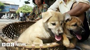 Vietnamese capital Hanoi asks people not to eat dog meat