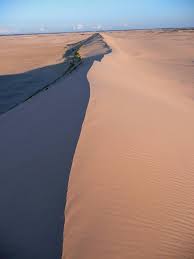 In 1992, the government of saskatchewan designated much of the region as athabasca sand dunes provincial wilderness park. Saskatchewan Sand Dunes Atv