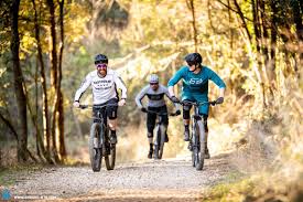 The cheapest offer starts at £235. Specialized Levo Sl Vs Stumpjumper Vs Levo In Test Is The Mtb Dead Enduro Mountainbike Magazine