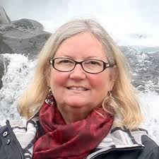 Amazon.com.br: Kathi S Barton: livros, biografia, última atualização