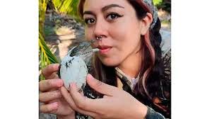 Desde taquicardia en las aves y estrés en mascotas los provoca la  pirotecnia dice la naturalista Daniela Alegría Sánchez