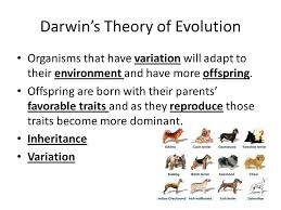 Theory Of Evolution Darwin Vs Lamarck Texas Horned Lizard