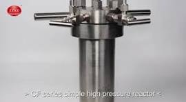 Stainless Steel Mini CF-Series High Pressure Reactor Vessel ...