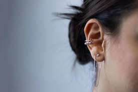 Image result for Cochlear Implant