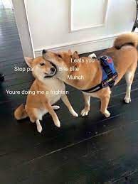 You Are Doin Me A Concern