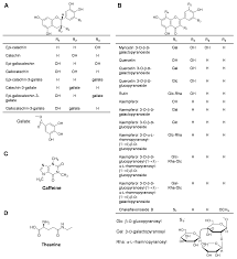 These are made by binding tea leaves and flowers together into a bulb, then setting them to dry. Molecules Free Full Text Occurrence Of Functional Molecules In The Flowers Of Tea Camellia Sinensis Plants Evidence For A Second Resource