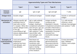 hypersensitivities microbiology