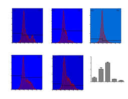 Image result for Glyphaea