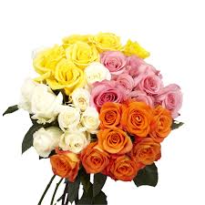 We did not find results for: Amazon Com 50 Assorted Roses Two Different Colors Next Day Flower Delivery Grocery Gourmet Food