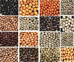 Image result for Sphenostylis