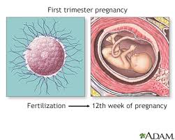 Image result for Folate Deficiency