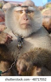 Peeing Baby Doll Statue Stock Photo 763162054