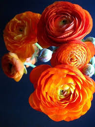 Orange Ranunculus Orange Ranunculus Beautiful Flowers Orange Bridal Bouquet