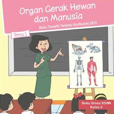 Kelas 5 Tema 1 Organ Gerak Hewan Dan Manusia Aplikasi Di Google Play