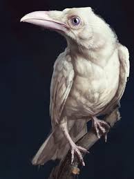 Black And White Raven Images Fantasy Art White Crow By Sergey Yakovlev Rimkello Fantasyart Crow Art White Crow Crow
