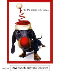 Doxie Holiday Box Of 15 Cards Dachshund Christmas Wiener Dog Dachshund Love