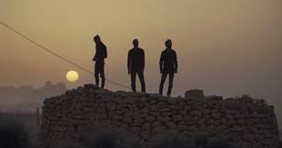 O sabor das azeitonas na Palestina destruída