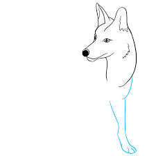 You can base the entire lesson on foods or a sport like lacrosse. How To Draw A Coyote Really Easy Drawing Tutorial