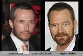 Totally Looks Like Bryan Cranston Cheezburger