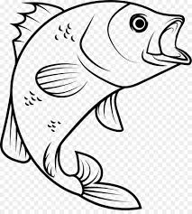 Dihalaman ini anda akan melihat gambar ikan cupang vector yang menarik! 78 Gambar Ikan Vektor Terlihat Keren Gambar Pixabay