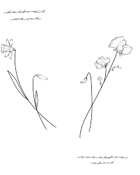 Birth Flower Flash January Snowdrop February Violet March Daffodil April Sweetpea May Lilly Birth Flowers Birth Flower Tattoos Flower Spine Tattoos