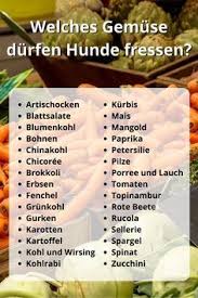 Welches Gemuse Durfen Hunde Fressen 38 Gesunde Gemusesorten Hunde Ernahrung Hund Essen Hunde Futter