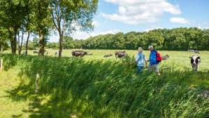 East frisia or eastern friesland is a coastal region in the northwest of the german federal state of lower saxony. The Best Hikes In Ostfriesland Outdooractive