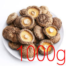 Image result for Lentinus edodes