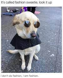 It S Called Fashion Sweetie Look It Up It S Called Fashion Look It Up Know Your Meme