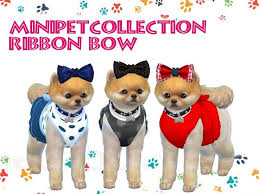 It's a piece of equipment used to show activity and functioning in the body at a cellular level using radiation. Ribbon Bow For Any Occasion Found In Tsr Category Sims 4 Dogs Accessories Sims Pets Sims 4 Pets Sims 4