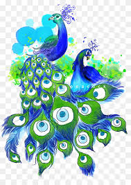 Hd to 4k picture quality, no attribution required! Beautiful Peacock Peacock Hand Painted Cartoon Png Pngwing