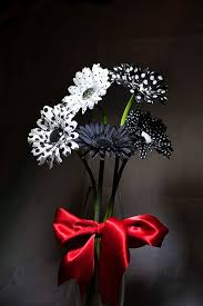 Black White Effect Photograph At Betterphoto Com Black And White Effect Flowers Color Splash Photography