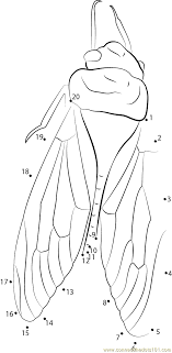 All kids like to play with their sisters and brothers and do fun stuff. Green Grocer Cicada Dot To Dot Printable Worksheet Connect The Dots