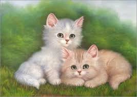 Pin By Fusun Karacasoy On Katzen Kitten Images Funny Cute Cats Cat Artwork