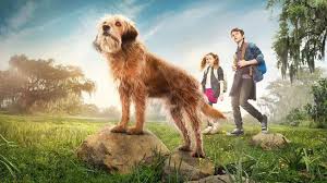 Click aici pentru a te autentifica. Benji 2018 Netflix Original Full Cast List Soundtrack Sequel What S On Netflix