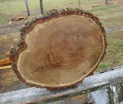 Pin On Live Edge Wood Slices Slabs Rounds