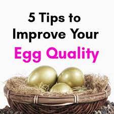 How To Improve Your Egg Quality In 30 Days Seaside Sundays Egg Quality Egg Health Fertility Foods